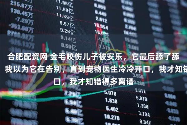 合肥配资网 金毛咬伤儿子被安乐，它最后舔了舔我的手心，我以为它在告别，直到宠物医生冷冷开口，我才知错得多离谱