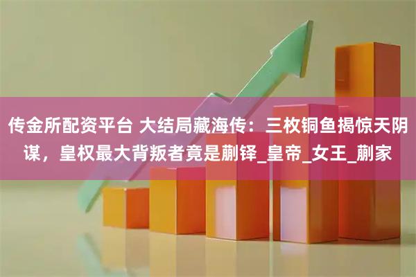 传金所配资平台 大结局藏海传：三枚铜鱼揭惊天阴谋，皇权最大背叛者竟是蒯铎_皇帝_女王_蒯家