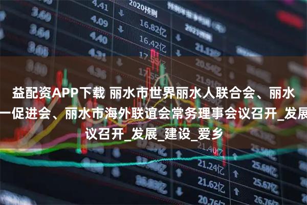 益配资APP下载 丽水市世界丽水人联合会、丽水中国和平统一促进会、丽水市海外联谊会常务理事会议召开_发展_建设_爱乡