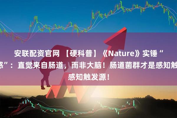 安联配资官网 【硬科普】《Nature》实锤“第六感”：直觉来自肠道，而非大脑！肠道菌群才是感知触发源！